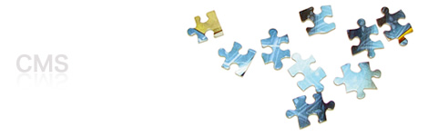 ＣＭＳ制作